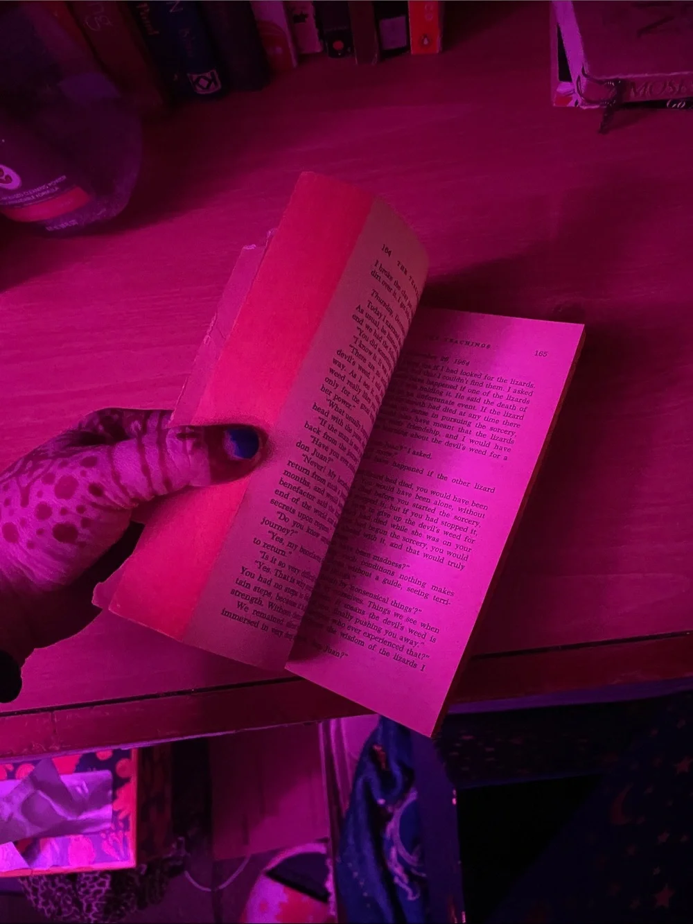 Teachings of Don Juan a Yaqui way of Knowledge Carlos Castaneda - used book